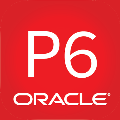 Oracle P6